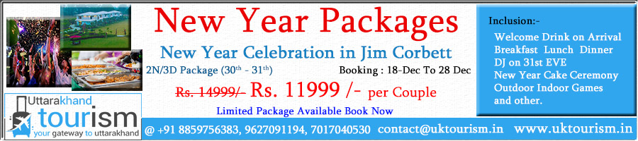 new year package