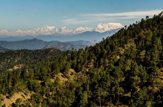 Binsar Uttarakhand